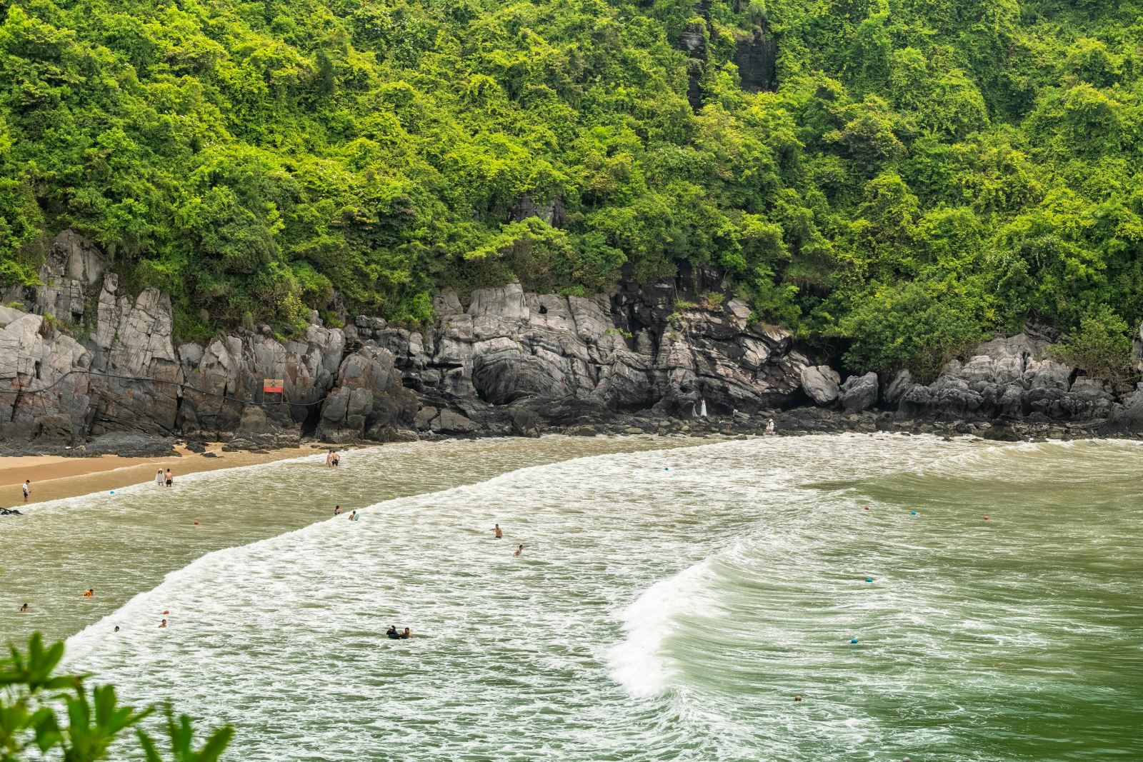 Cat Ba. Photo by Pexels.