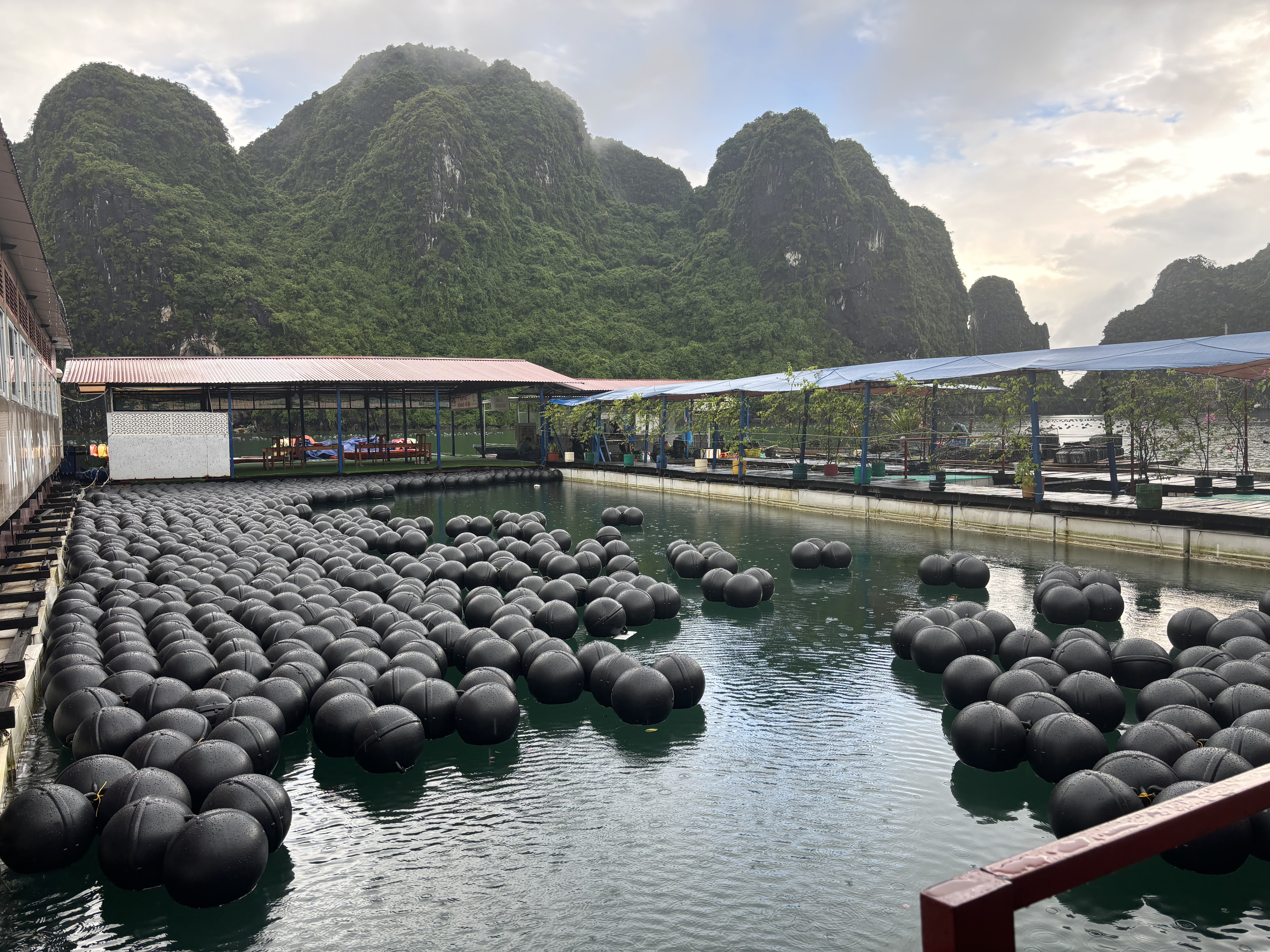 Halong Pearl Farm Tung Sau. Photo by Vietnam Luxury Cruises.