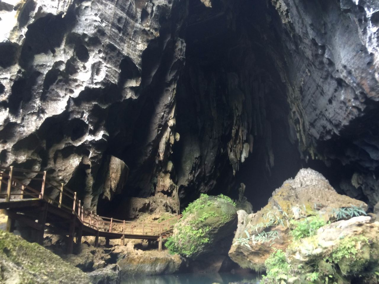 Dark Cave. Photo by Tripadvisor.